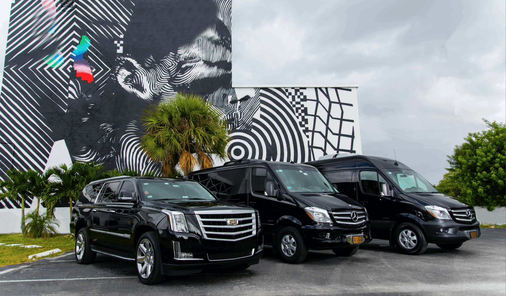 Green Sustainability with Key Transportation Worldwide