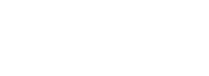 The Wedding Wire - Wedding Transportation Profile 